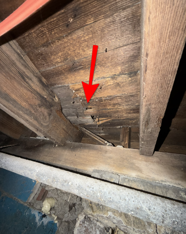 Plywood subfloor board showing mechanical puncture or cut damage.